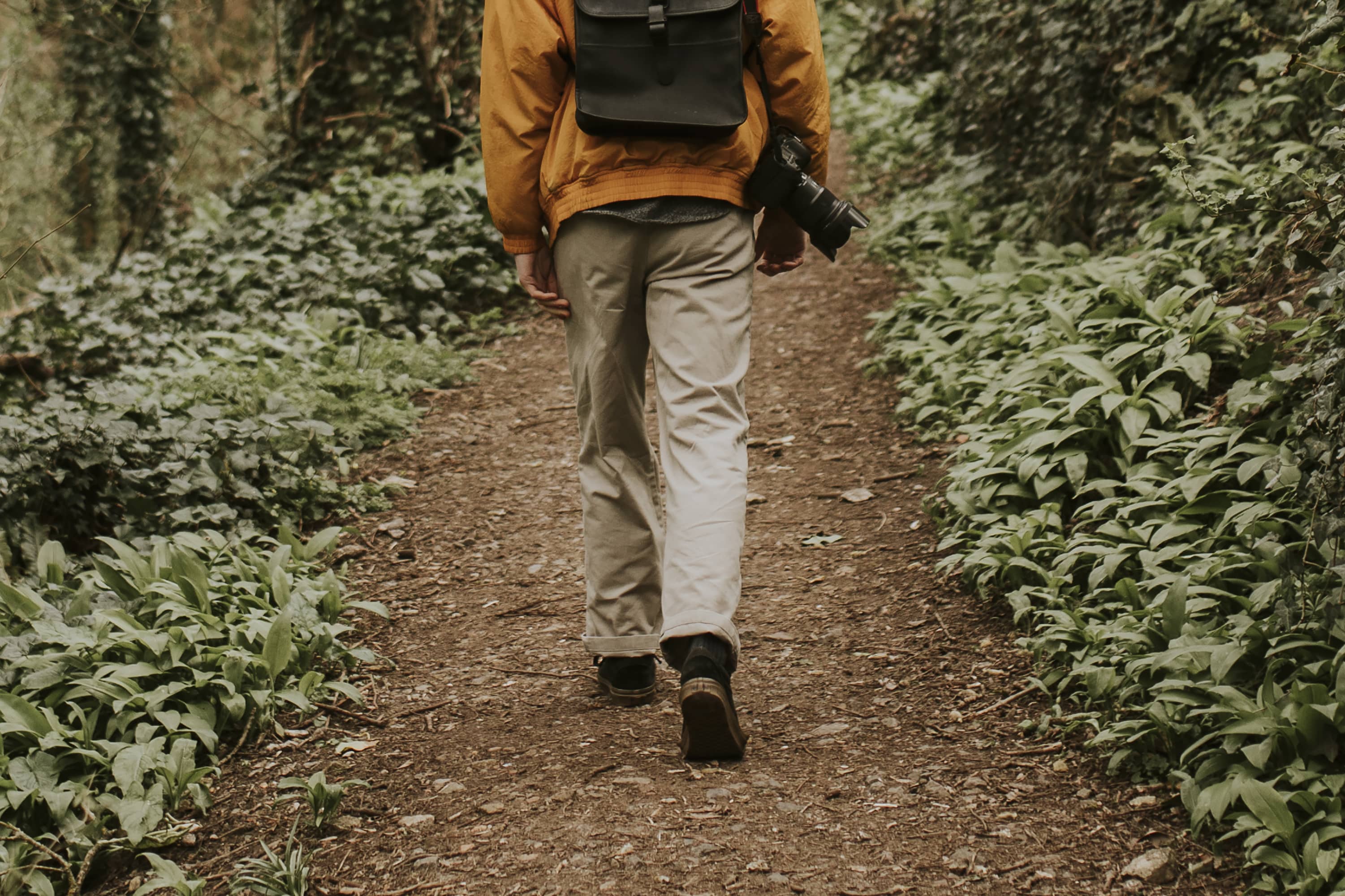 Nature Walks